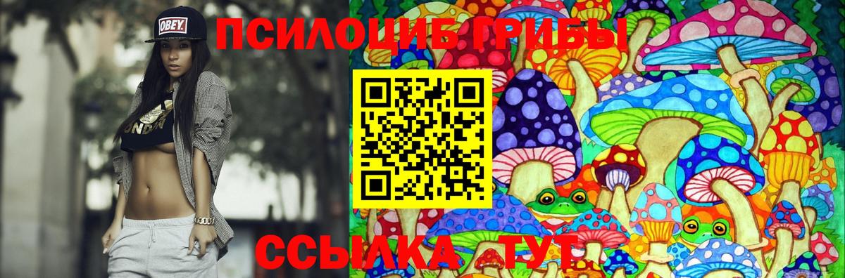 Псилоцибиновые грибы GOLDEN TEACHER  Псилоцибиновые грибы MAGIC MUSHROOMS  Дальнереченск  Вход с VPN 